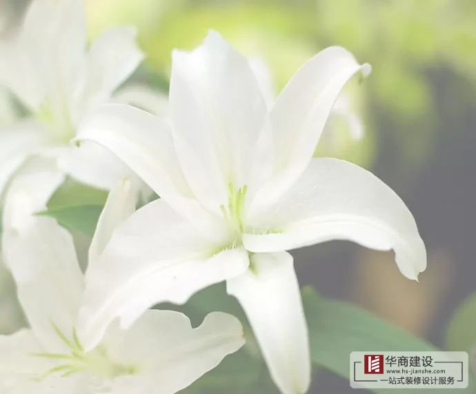 裝修不將就，廣州大型公裝家裝公司更注重細節(jié)
