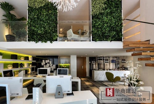 辦公室裝修中綠植是不可或缺的！為什么呢？